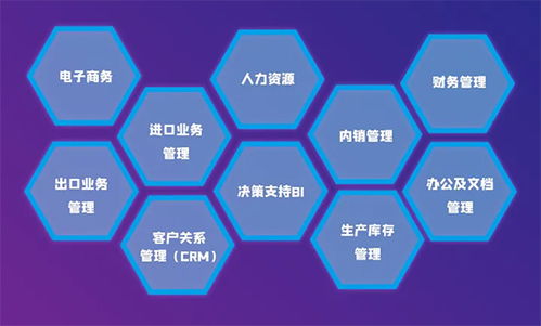 揭秘丨五金外贸公司背后的神秘系统 管理与咨询的双重引擎